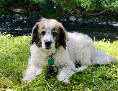 Entry image for Lexi. Clicking this image will show a larger photo