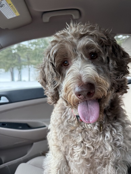 Entry image for Ruby . Clicking this image will show a larger photo