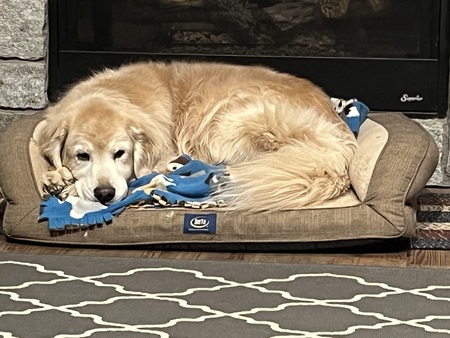 Entry image for Cider. Clicking this image will show a larger photo