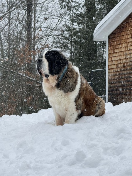 Entry image for Breezewood. Clicking this image will show a larger photo