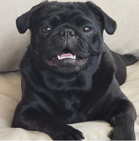 Entry image for Mable. Clicking this image will show a larger photo