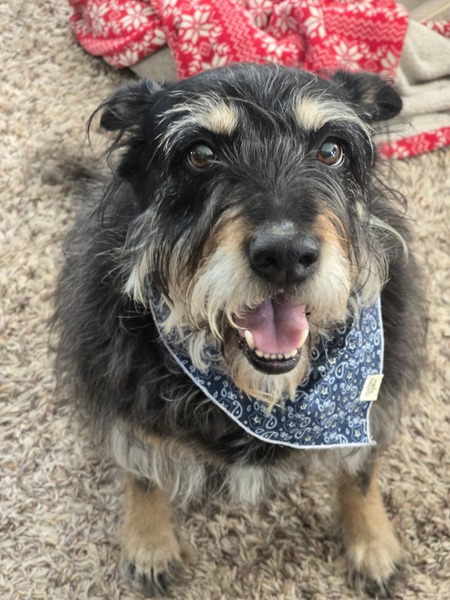 Entry image for Dayna. Clicking this image will show a larger photo