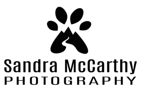 https://www.sandramccarthyphoto.com/