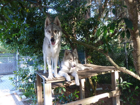 Tina & Syles