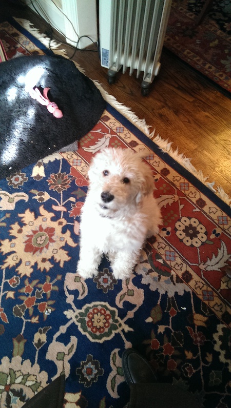 Sophie
