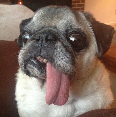 Roscoe