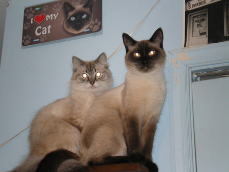 Jasper & Noah