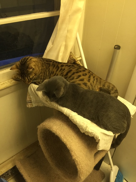 Ernie and frank