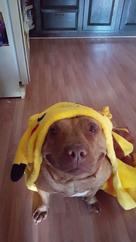 Miss Hannah Banana