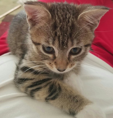 Zeus