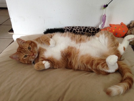 Buster