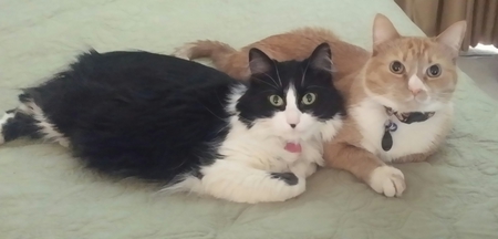 Bella and Oliver