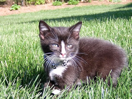 George