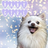 Entry image for Baby Girl
