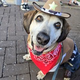 Entry image for Charlie
