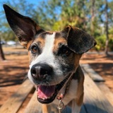 Entry image for Benny