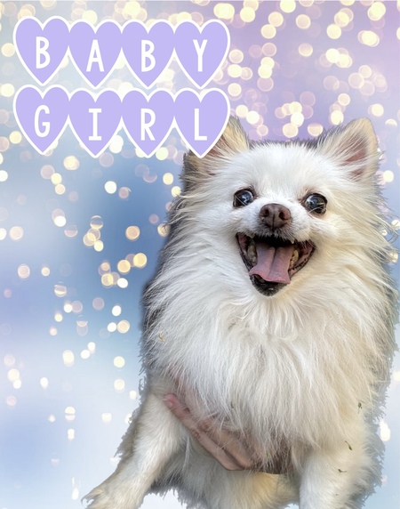 Entry image for Baby Girl. Clicking this image will show a larger photo