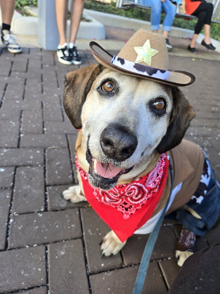 Entry image for Charlie. Clicking this image will show a larger photo