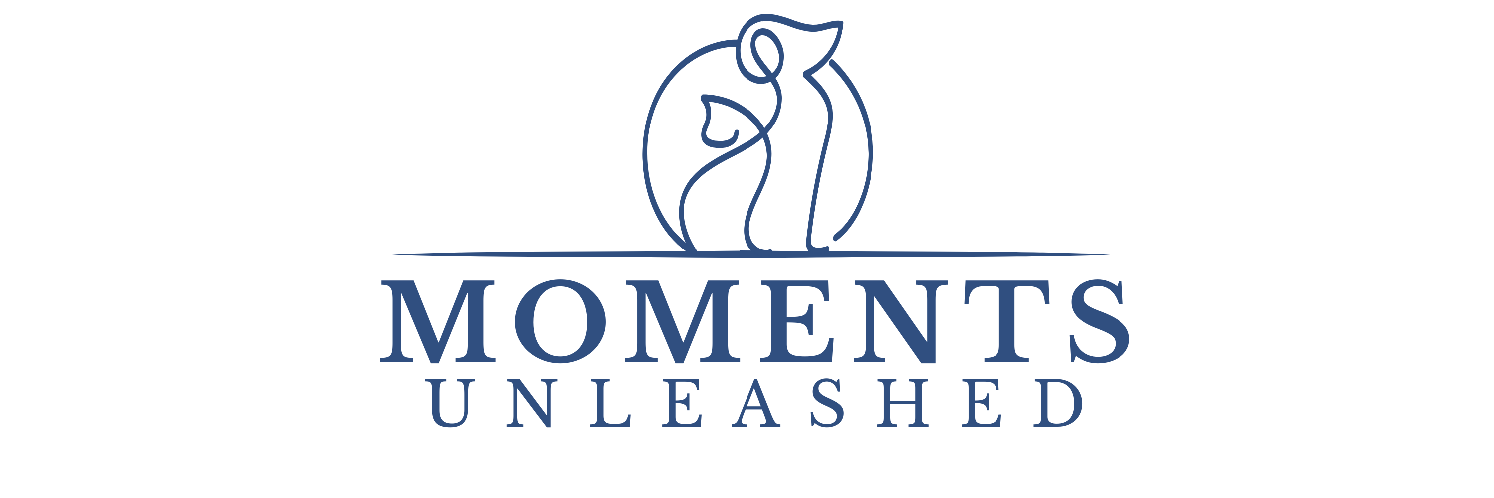 https://momentsunleashed.com/