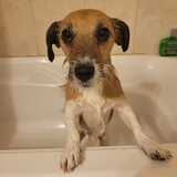 Entry image for Tater