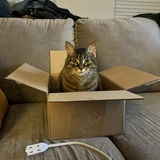 Entry image for Ally