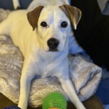 Entry image for Murphy