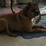 Entry image for Todd