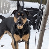 Entry image for Jake 