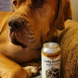 Entry image for Hank 