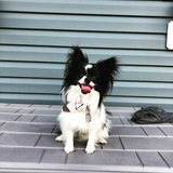 Entry image for Darby