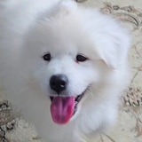 Entry image for Kodi