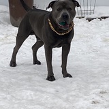 Entry image for Rague