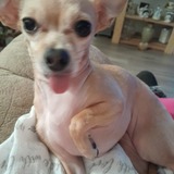 Entry image for Jazzy 