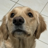 Entry image for Azzy