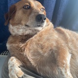 Entry image for Maggie