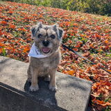 Entry image for Claire