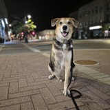 Entry image for Xander Cage