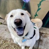 Entry image for Jake