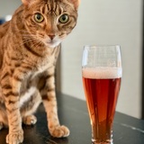 Entry image for Bear