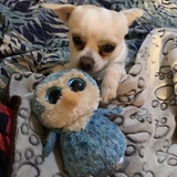 Entry image for Jimmy