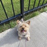 Entry image for Betty