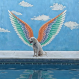 Entry image for Macarena