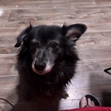 Entry image for Penny