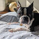 Entry image for Lenny