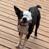 Entry image for Georgia 