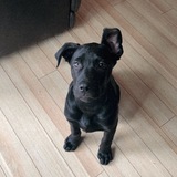 Entry image for Tucker