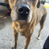 Entry image for Crocker 