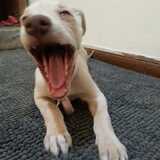 Entry image for Paris