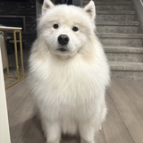 Entry image for Burt