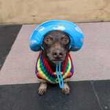 Entry image for Radler